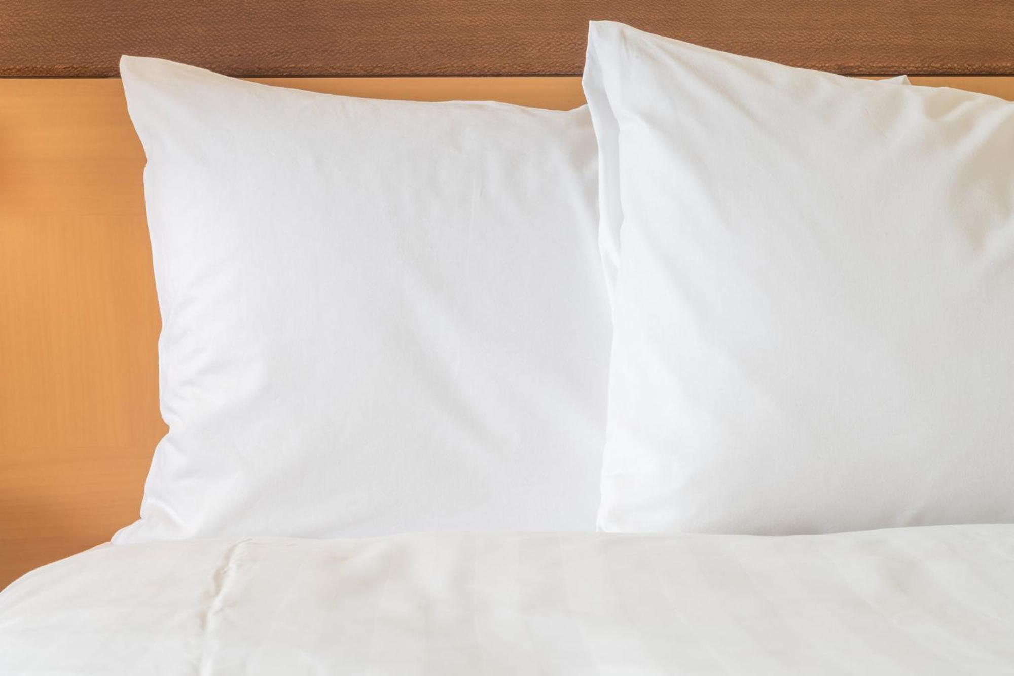 Holiday Inn Express & Suites Tampa Stadium - Airport Area By Ihg Εξωτερικό φωτογραφία